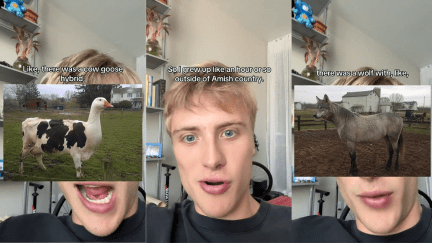 His Friend Played Pranks on Amish People. He Escalated the Bit With Photoshop 'We Just Started Generational Lore'