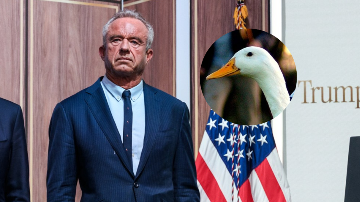 RFK Jr and a duck