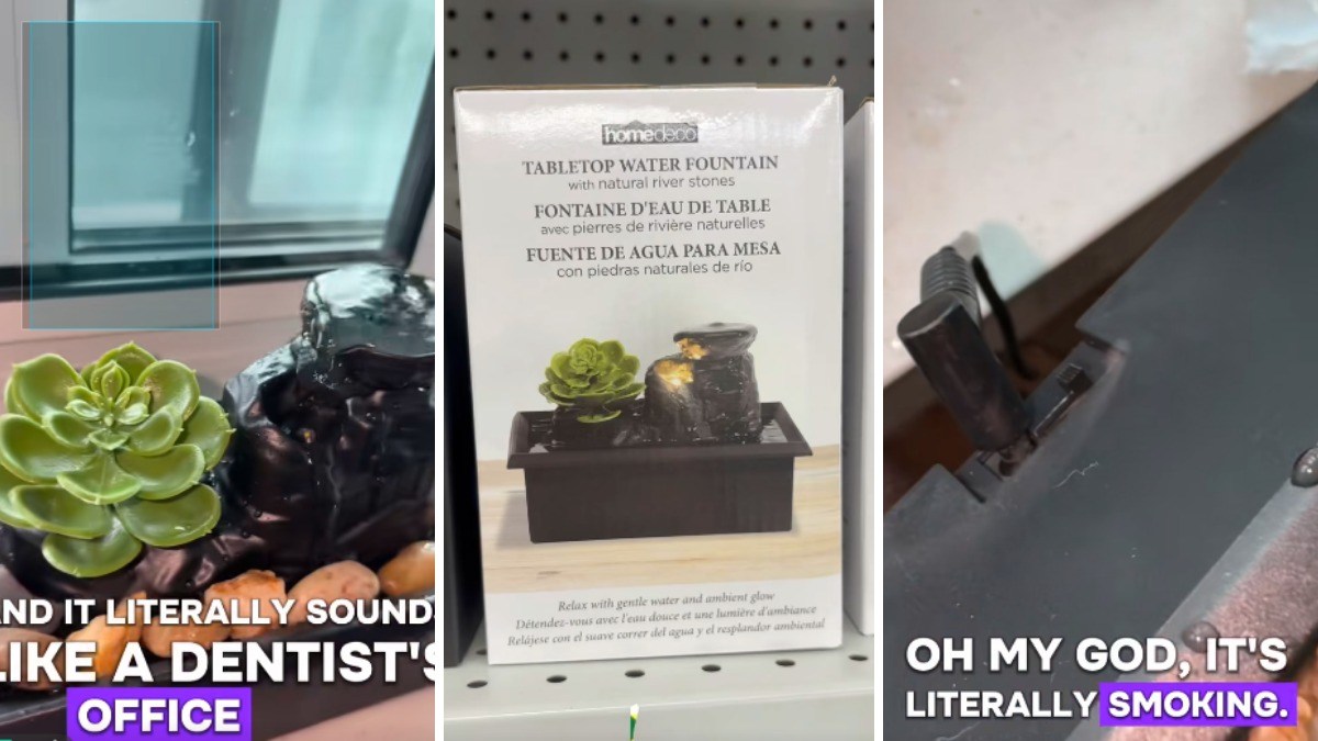 Woman buys a cute $5 tabletop fountain from Dollarama. Then her dog starts freaking out: 'almost burnt my house down'