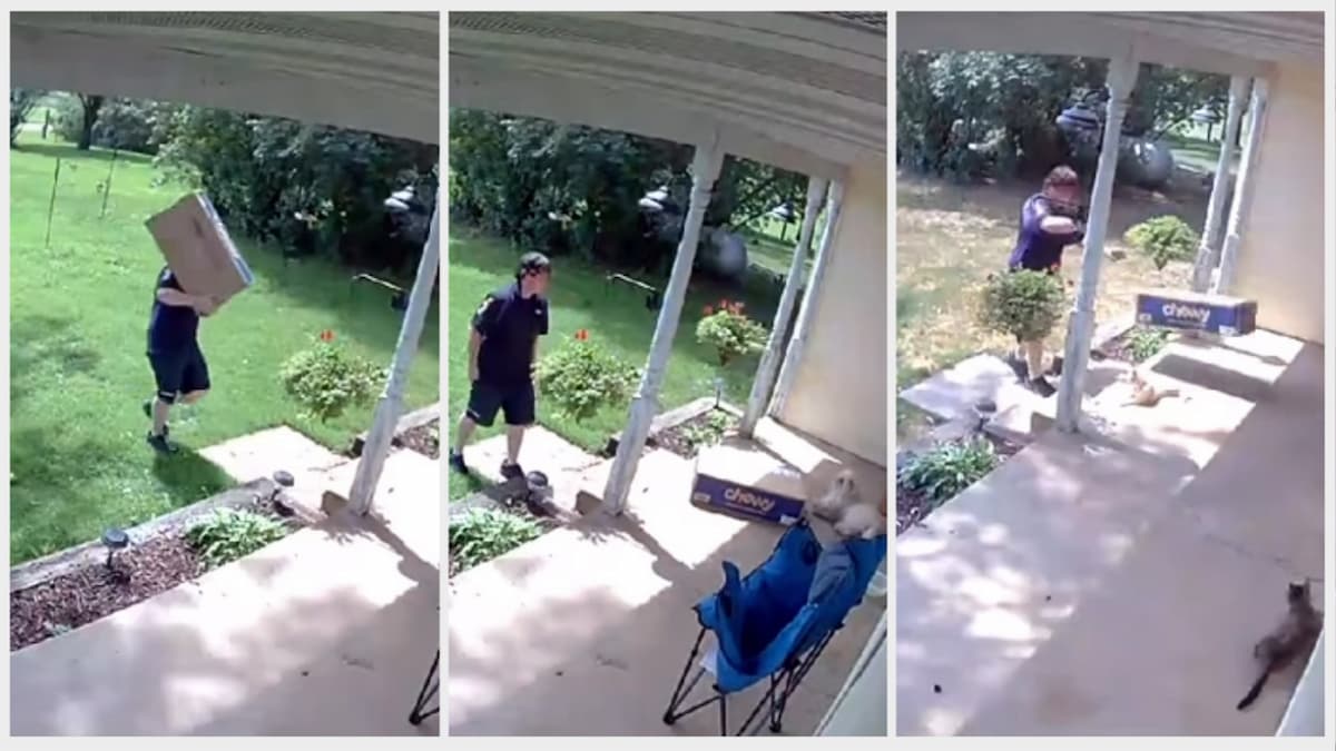 FedEx Driver Allegedly Throws Packages at Pets