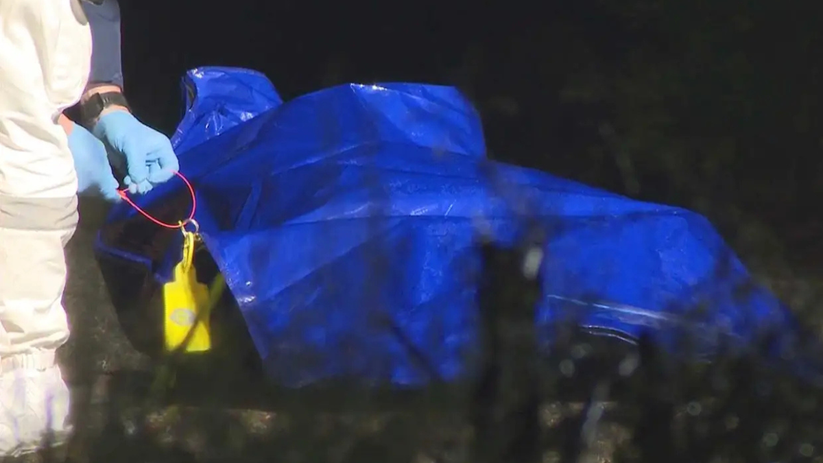 Police investigate 'body' found in suitcase