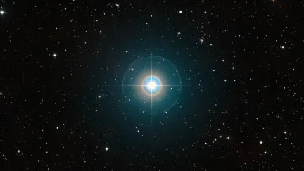 A night sky full of stars