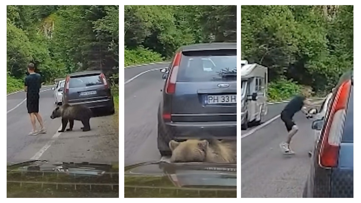 Man on the side of a road with a bear