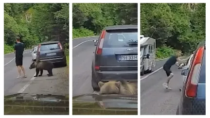Man on the side of a road with a bear