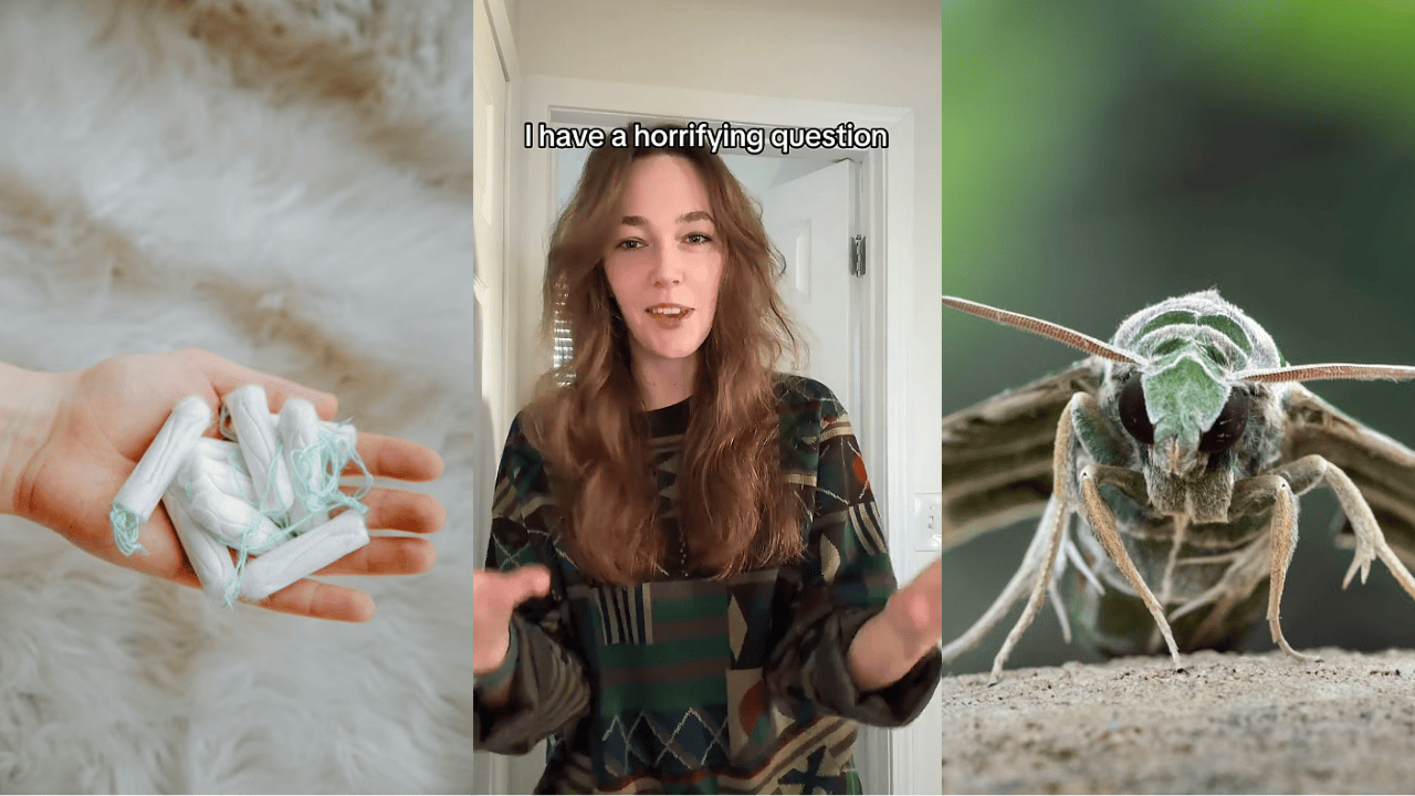 Woman from Ohio gets a disturbing inquiry from her friend about her tampon brand. She found something she shouldn’t have after using it ‘There’s nothing on Reddit’