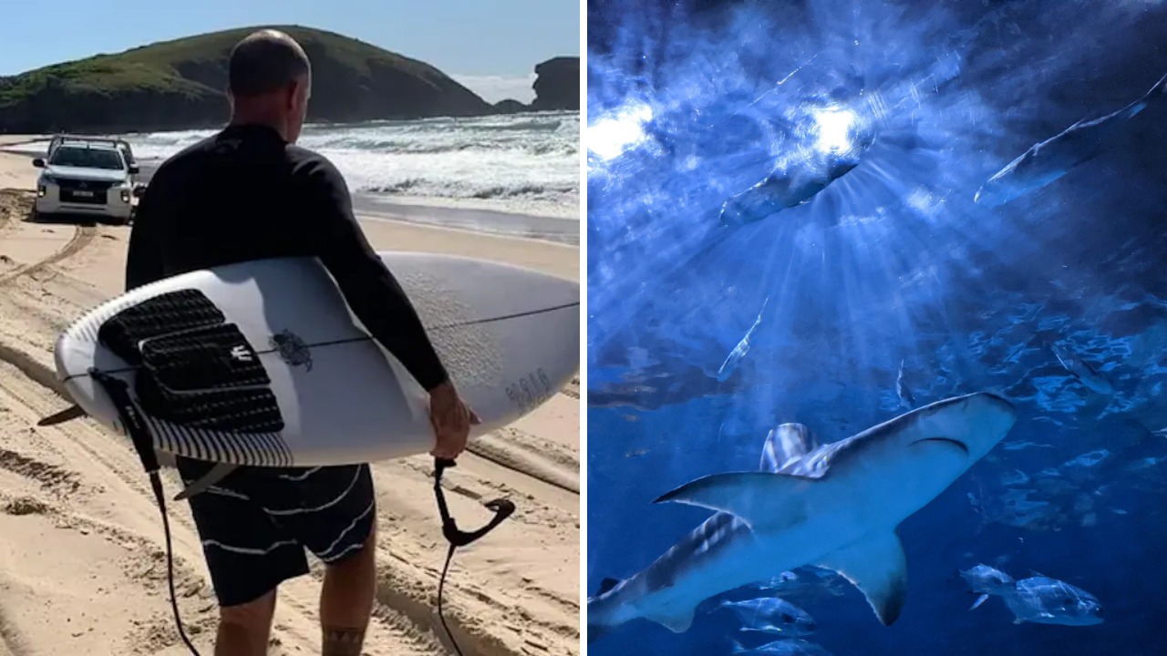 New South Wales man loses his leg after fighting a 12-foot Great White at Lighthouse Beach. 2 months later, he goes back into the water for redemption