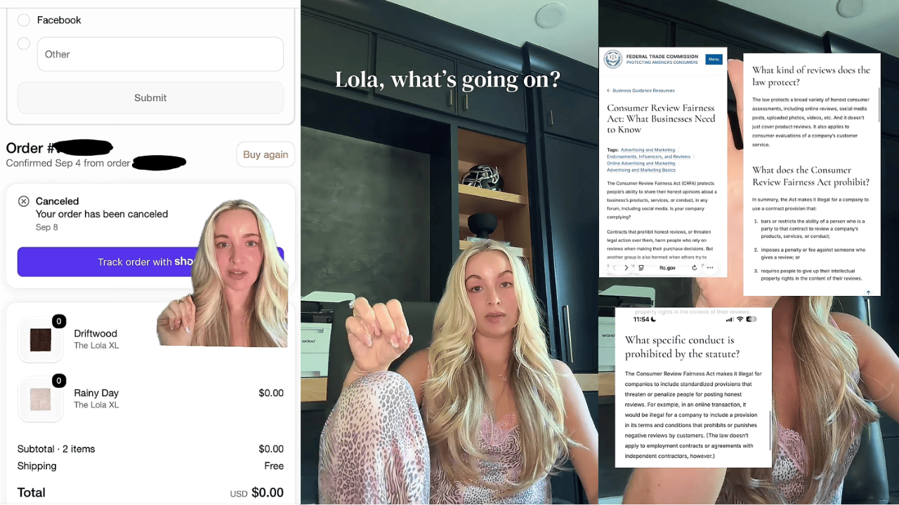 Woman from Atlanta shares disappointment over her $450 purchase from Lola Blankets ‘Give me replacements or give my money back’