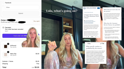 Woman from Atlanta shares disappointment over her $450 purchase from Lola Blankets ‘Give me replacements or give my money back’