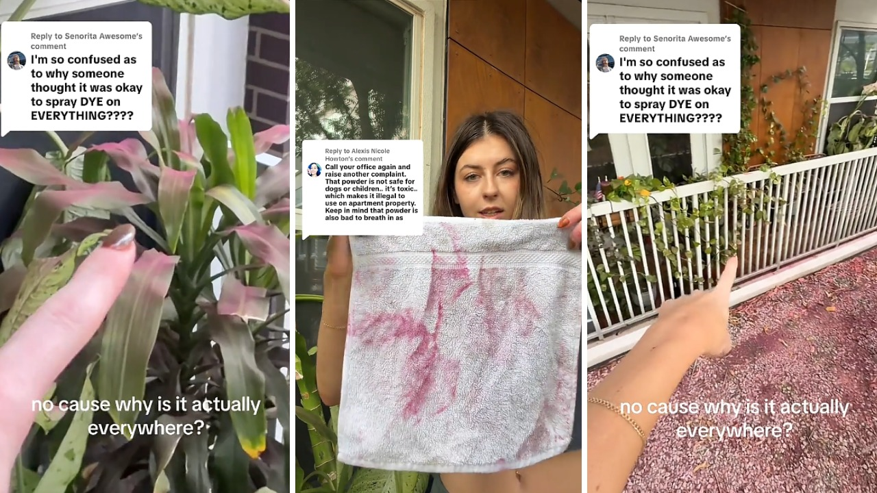 Texas woman showed the aftermath of a gender reveal at her apartment complex. Everything was dusted pink: ‘If you did it, you should clean it up’