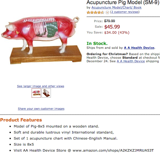 Acupuncture Pig Model (SM-9)
