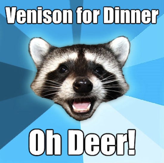 Venison for dinner