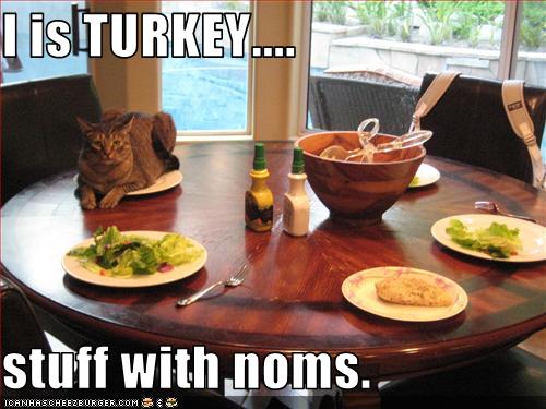 I Is Turkey