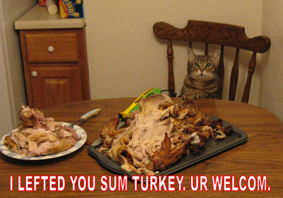 Lefted You Sum Turkey