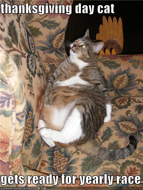 Gets Ready for Yearly Race