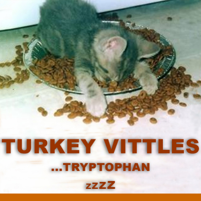 Turkey Vittles