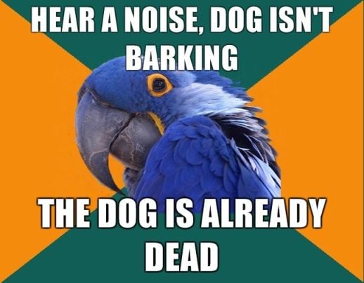 Dog Isn't Barking