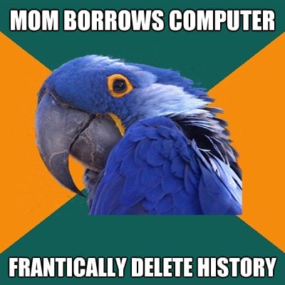 Mom Borrows Computer