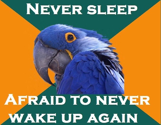 Never Sleep