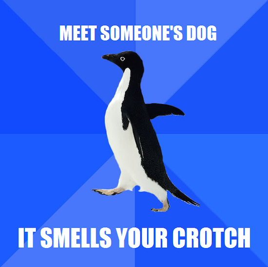 Crotch-Smellingly Awkward